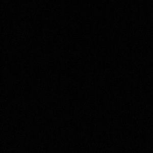 Meet your Posher, Jaden